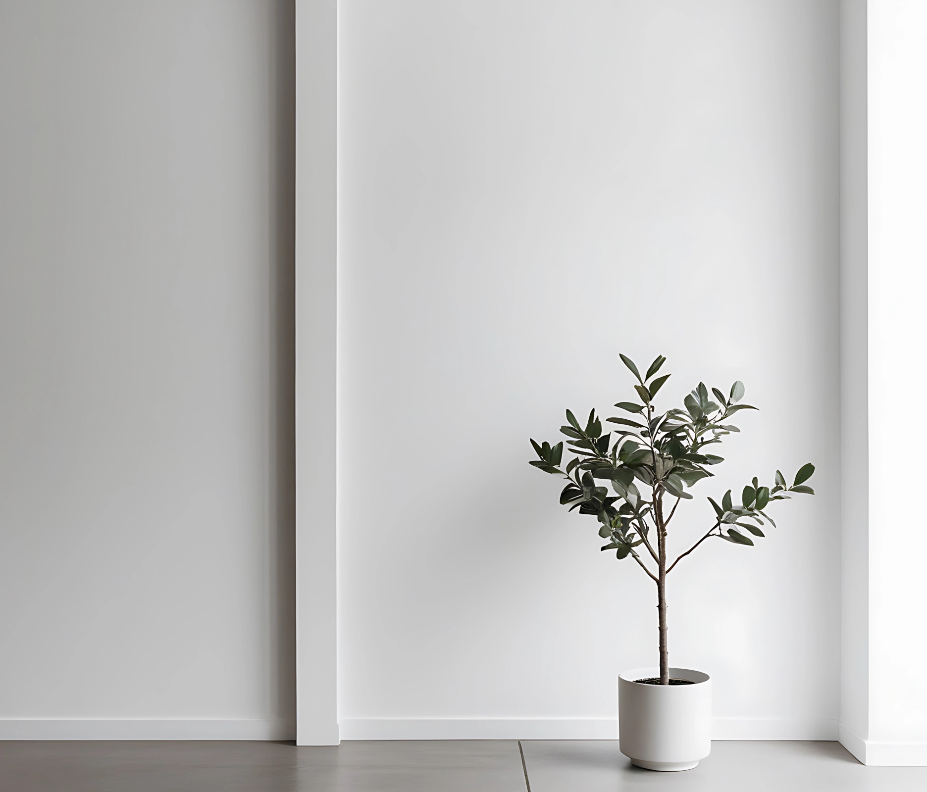 Комплектація VISION White